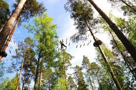 Atreenalin Seikkailupuisto Saimaa